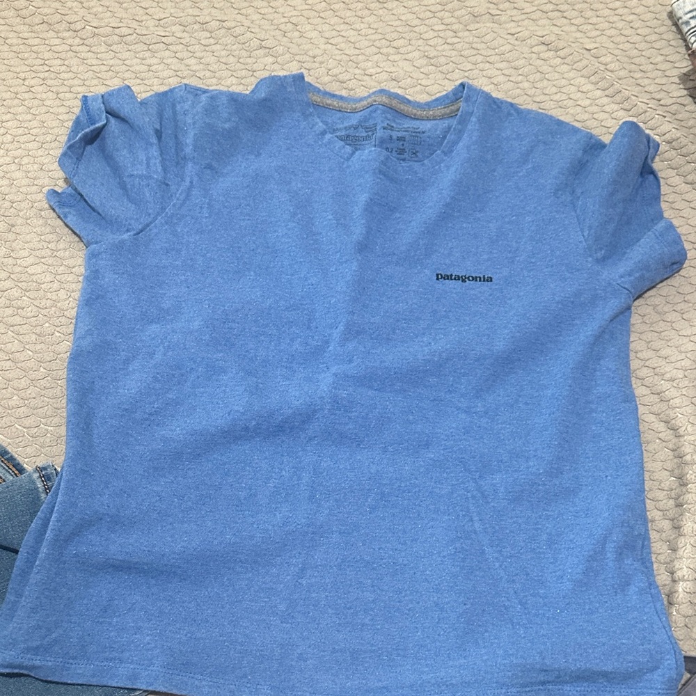 Patagonia Kids Sky Blue Short Sleeve Tee